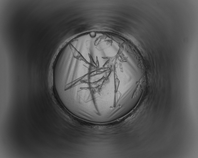 X0000095691371200801291208