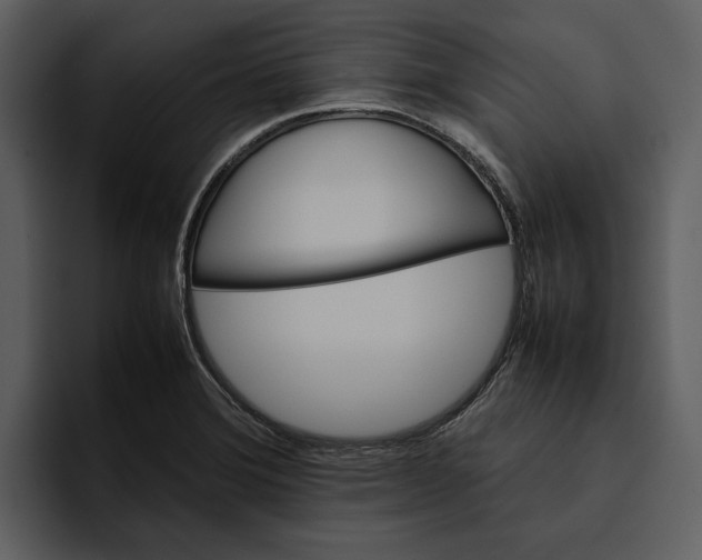 X0000095691372200801291208