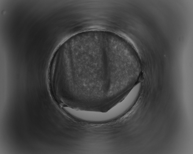 X0000095691373200801291208