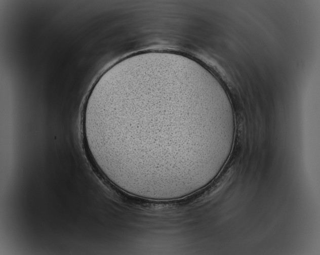 X0000095691375200801291208