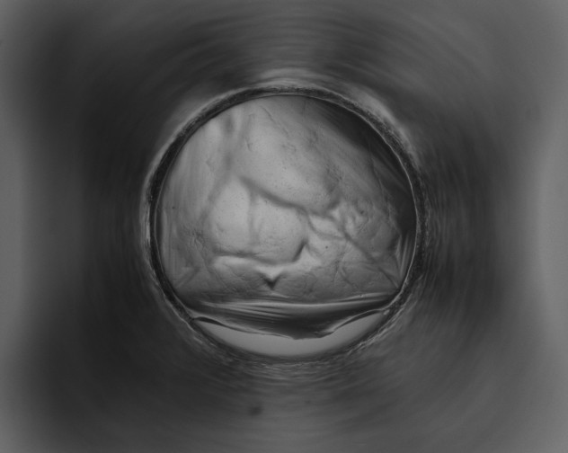 X0000095691376200801291208