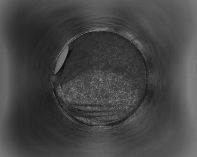 X0000095691377200801291208