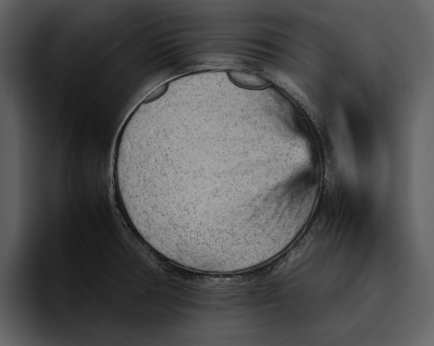 X0000095691378200801291208