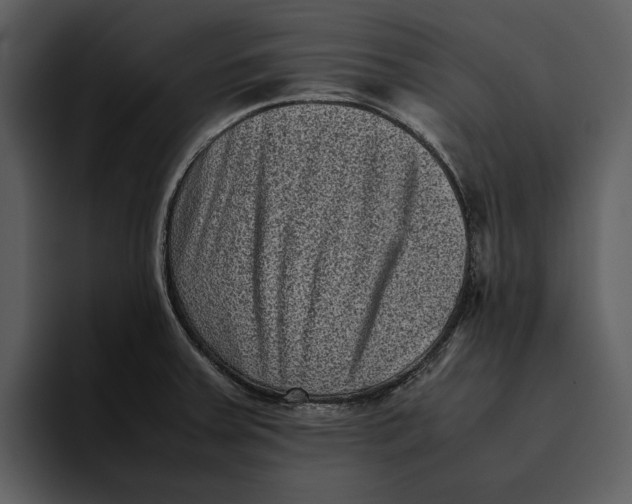 X0000095691379200801291208