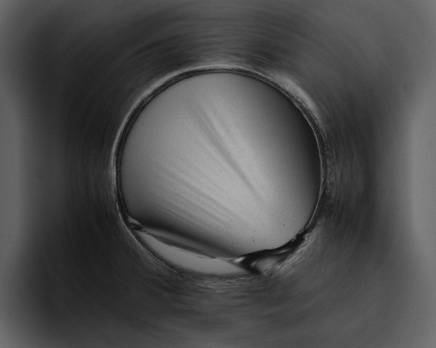 X0000095691380200801291208