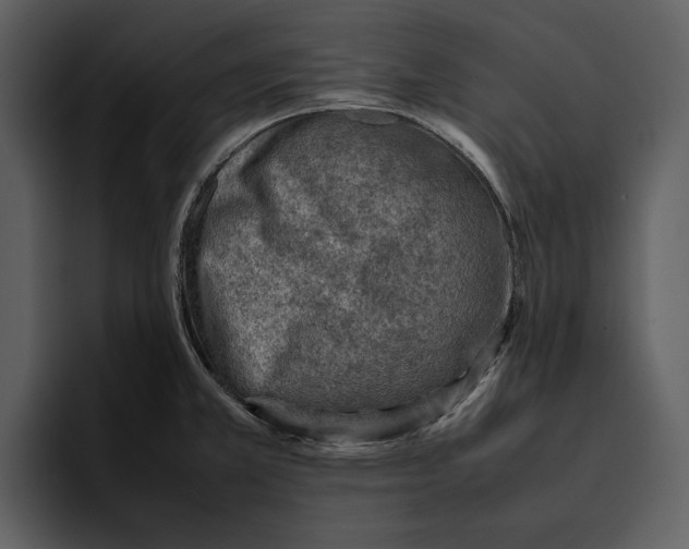 X0000095691381200801291208