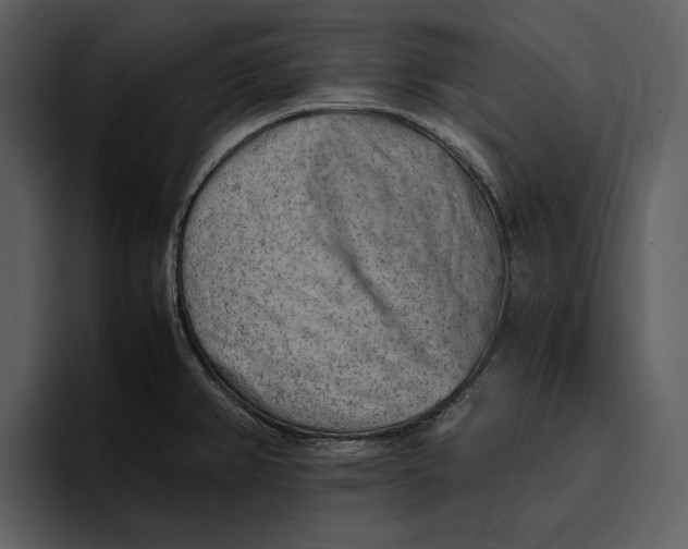 X0000095691382200801291208