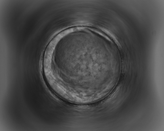 X0000095691383200801291208