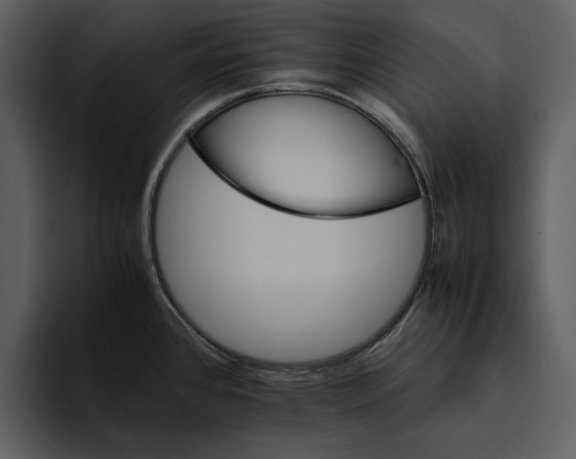 X0000095691384200801291208