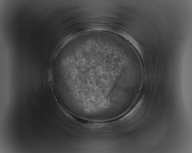 X0000095691385200801291208