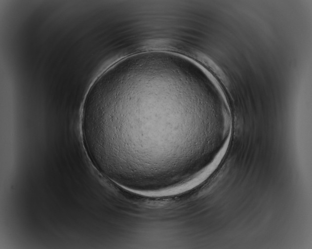 X0000095691386200801291208