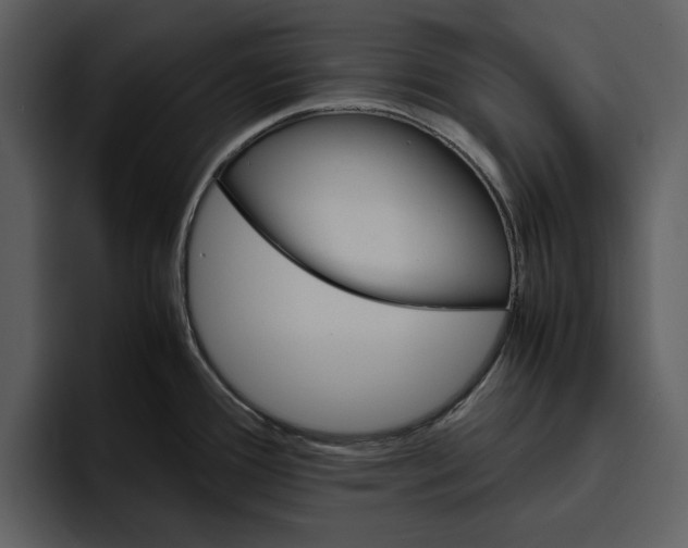 X0000095691388200801291208