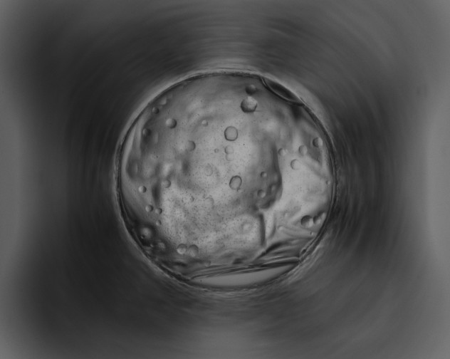 X0000095691390200801291208