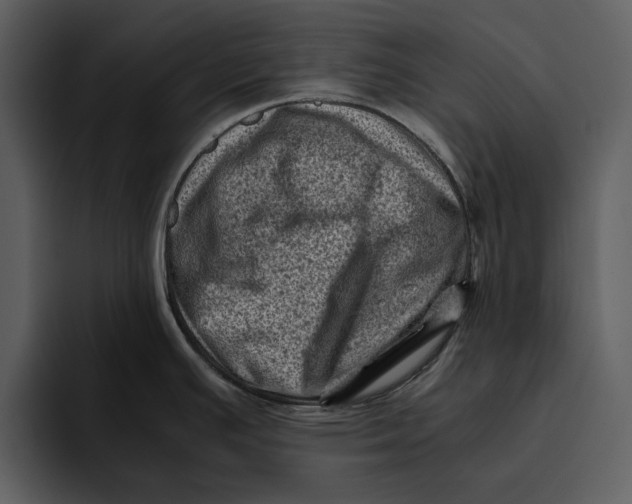 X0000095691391200801291208