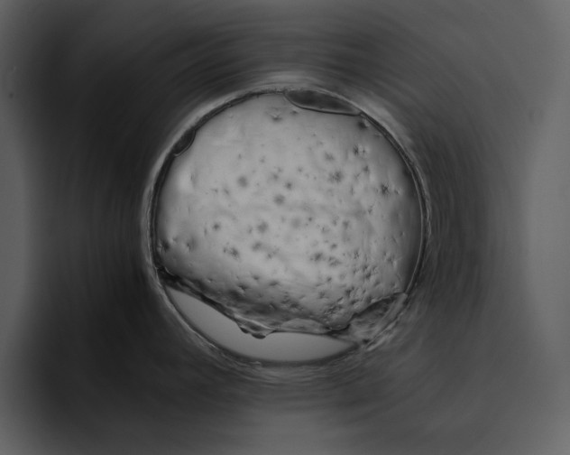 X0000095691392200801291208