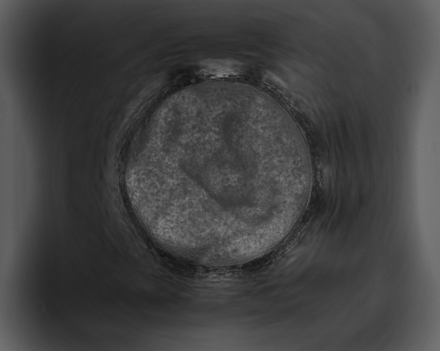 X0000095691393200801291208