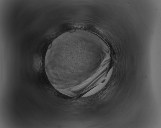 X0000095691394200801291208