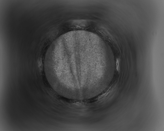 X0000095691395200801291208