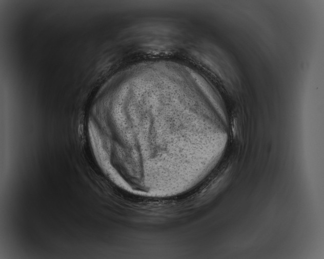 X0000095691396200801291208