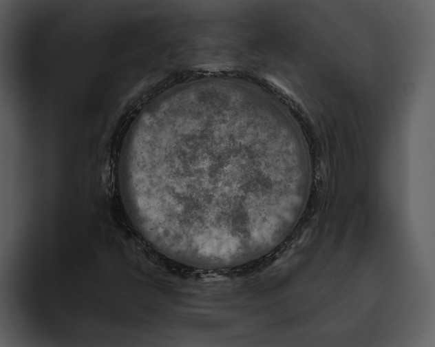 X0000095691398200801291208