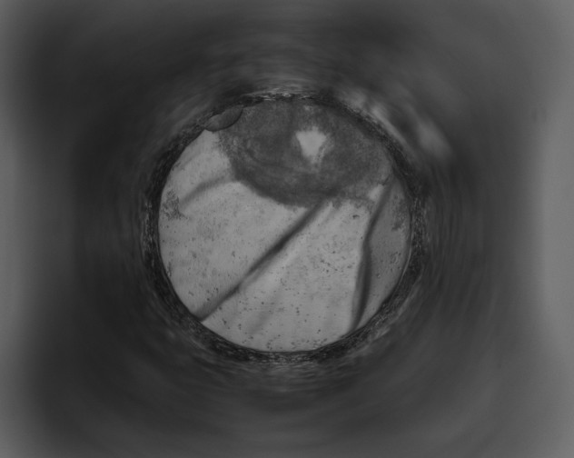 X0000095691399200801291208