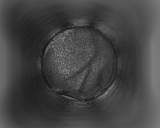 X0000095691401200801291208