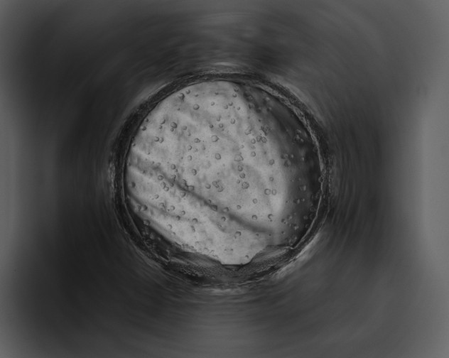 X0000095691402200801291208