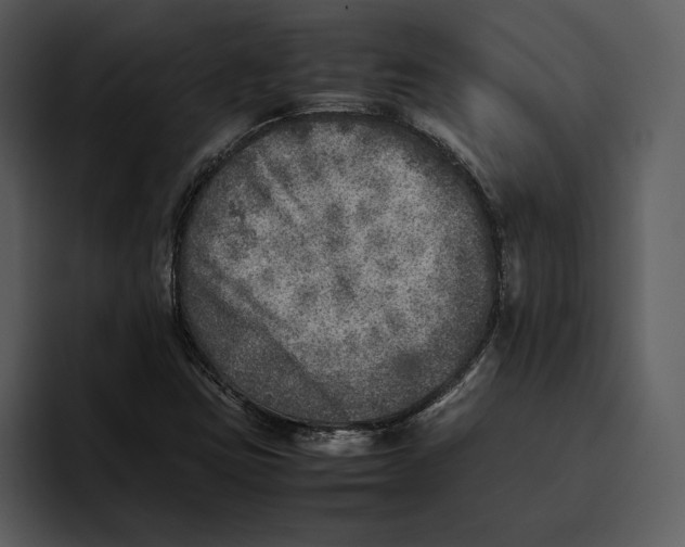 X0000095691403200801291208