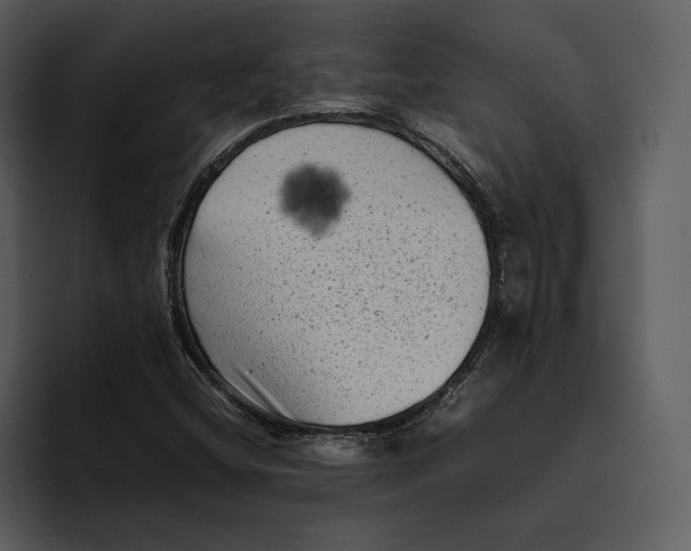 X0000095691404200801291208