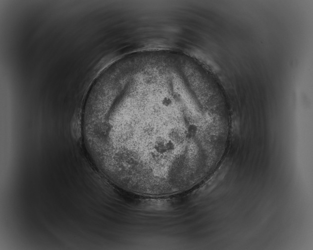 X0000095691409200801291208