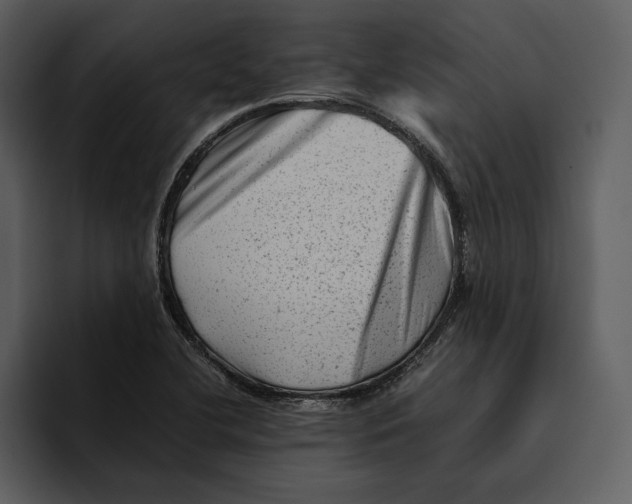 X0000095691412200801291208