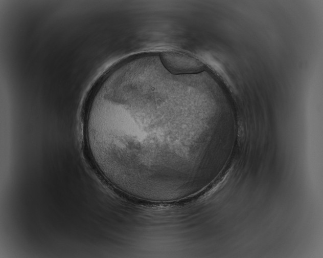 X0000095691414200801291208