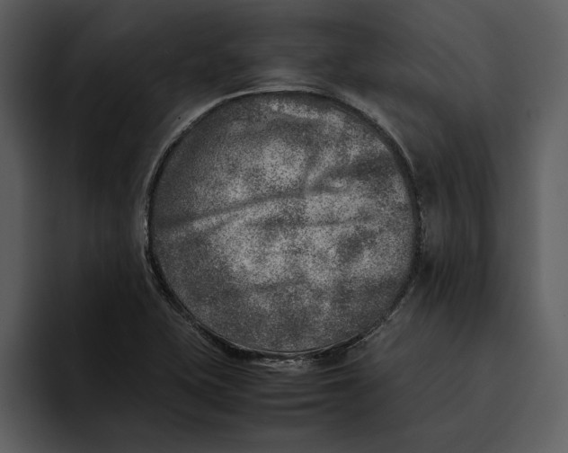 X0000095691415200801291208