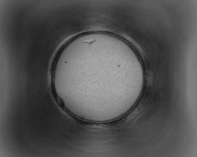 X0000095691416200801291208