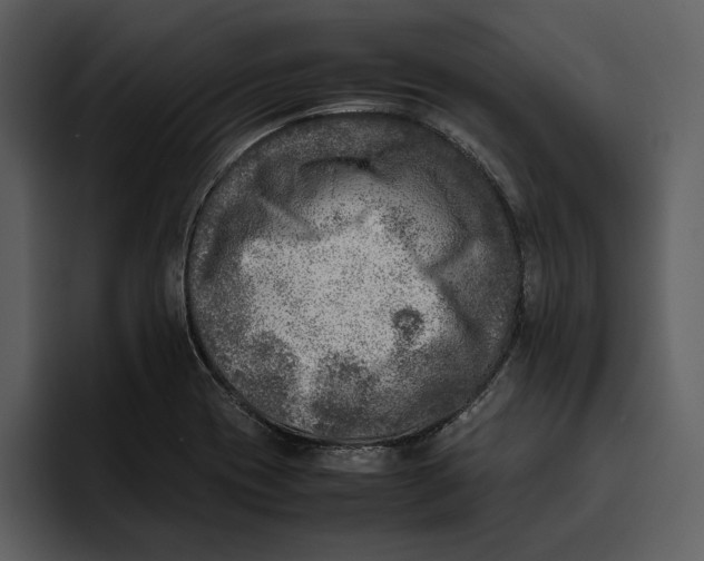 X0000095691417200801291208