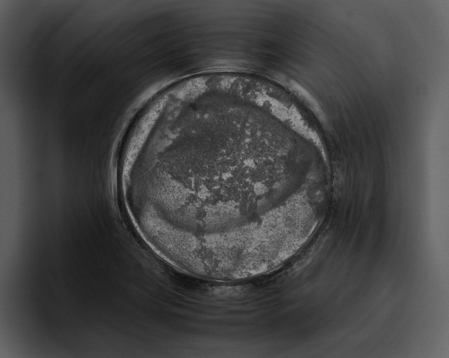 X0000095691419200801291208