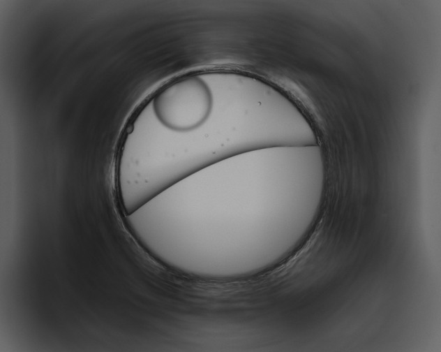 X0000095691420200801291208