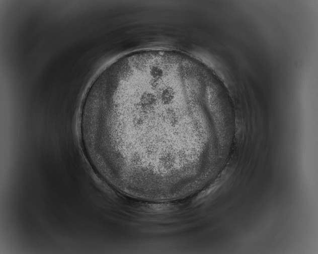 X0000095691421200801291208