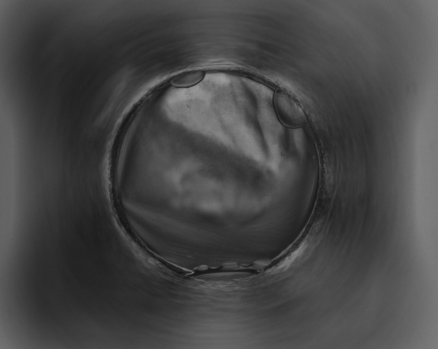 X0000095691422200801291208