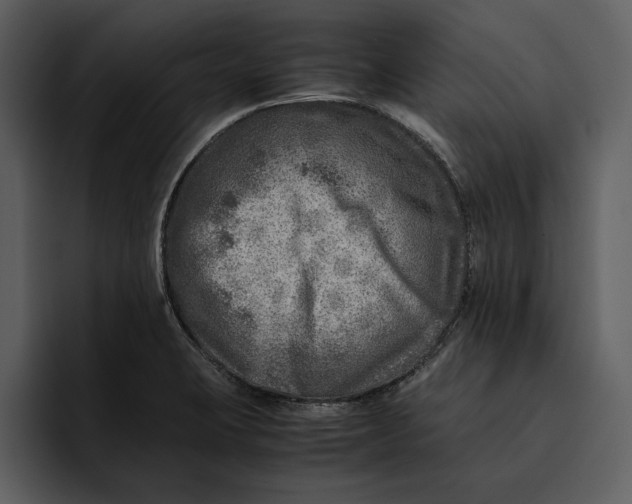 X0000095691423200801291208