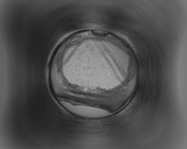 X0000095691424200801291208