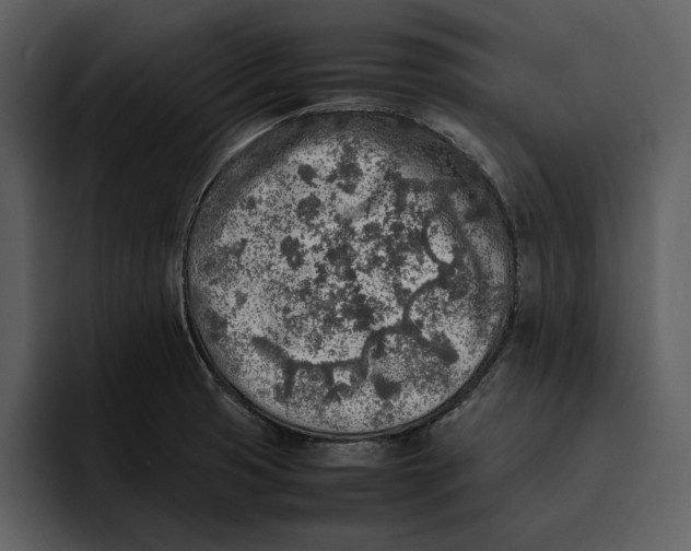 X0000095691425200801291208