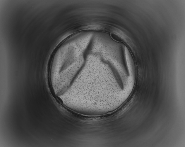 X0000095691426200801291208