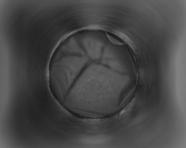 X0000095691428200801291208