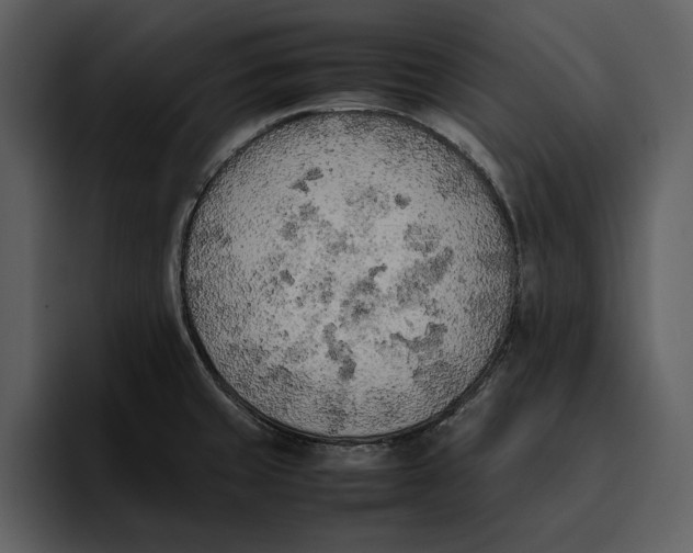 X0000095691429200801291208