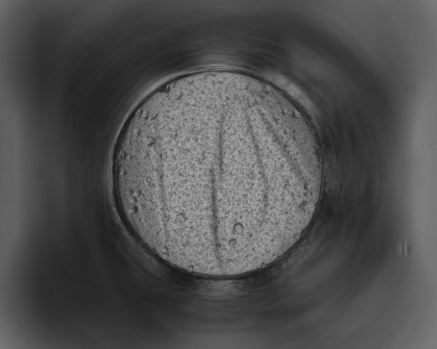 X0000095691431200801291208