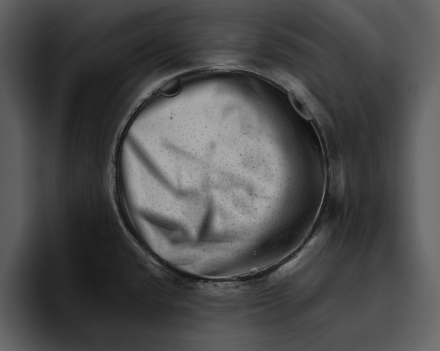 X0000095691432200801291208