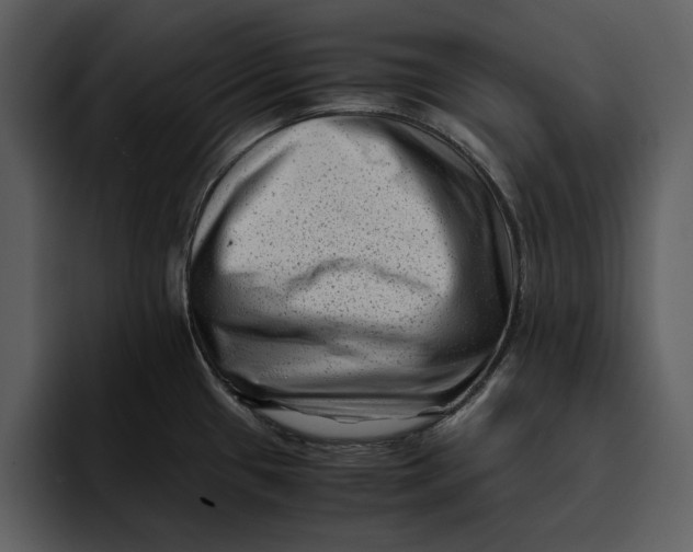 X0000095691433200801291208