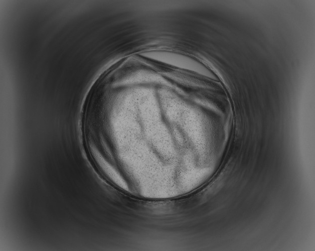 X0000095691434200801291208