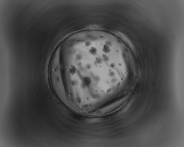 X0000095691435200801291208